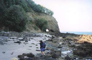 Image of motuora02keyholeq.jpg