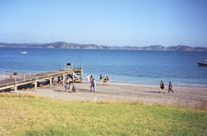 Image of motuora02wharfq.jpg