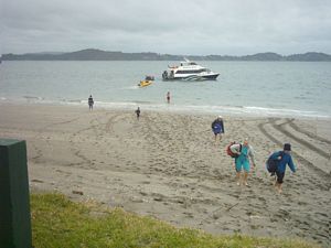 Image of motuora04arrival.jpg