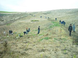 Image of motuora04arrivalatsite.jpg