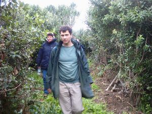 Image of motuora04coasttrack2.jpg