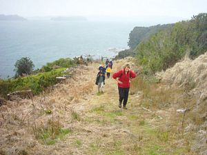 Image of motuora04coasttrack4.jpg