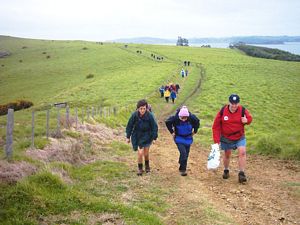 Image of motuora04onwaytosite2.jpg