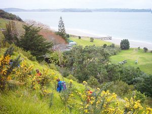 Image of motuora04zigzagtrack.jpg