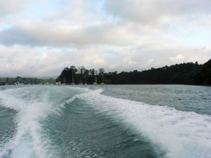 Image of motuora101.jpg