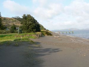 Image of motuora102.jpg