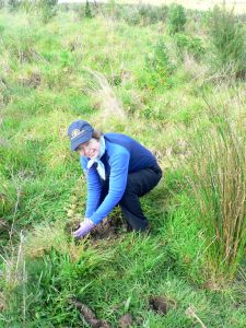 Image of motuora104.jpg