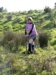 Image of motuora106.jpg