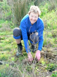 Image of motuora107.jpg