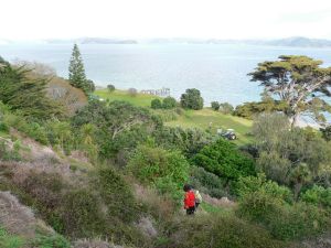 Image of motuora108.jpg