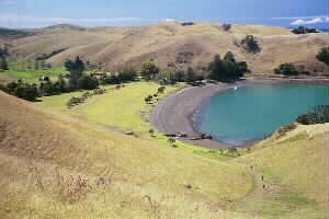 Image of motutapuislandhomebayq.jpg