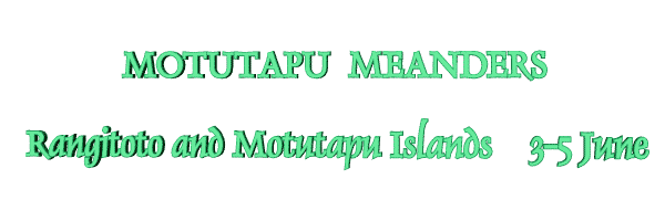 Image of motutapumeanders06.gif