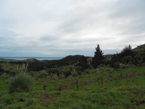 Image of mtaucklandjun16af.jpg