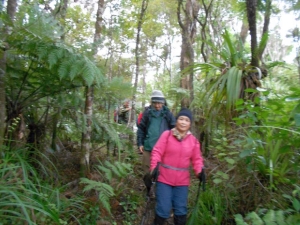 Image of mtaucklandjun16bh.jpg