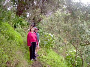 Image of mteden05newtrack.jpg