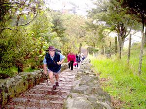 Image of mteden05steps.jpg