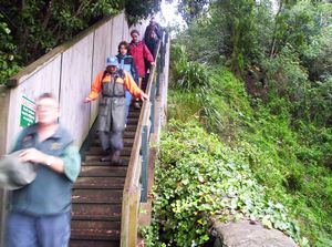 Image of mteden05steps2.jpg