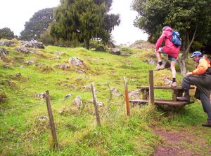 Image of mteden05stonypeak.jpg