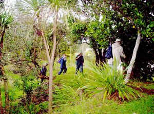 Image of mteden05tahaki2.jpg