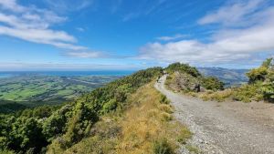 Image of mtfyffe23b.jpg