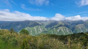 Image of mtfyffe23c.jpg