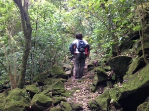 Image of mthobsonoct16b.jpg