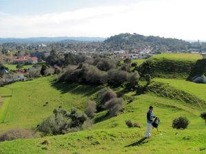 Image of mthobsonsep11dbview.jpg