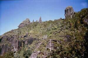 Image of mtmanaiafromfirstlookoutq.jpg