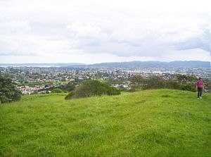 Image of mtsroskillalbert05albertviewmanukauharbour.jpg