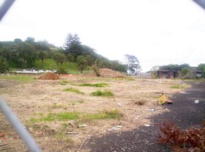 Image of mtsroskillalbert05roadworks.jpg