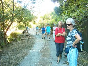 Image of mtstjohn05newmarketgully.jpg