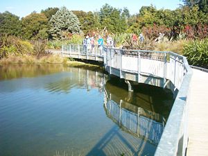 Image of mtstjohn05newmarketpond4.jpg