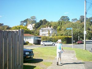 Image of mtstjohn05vasanta.jpg