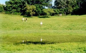 Image of mtstjohncraterlake.jpg