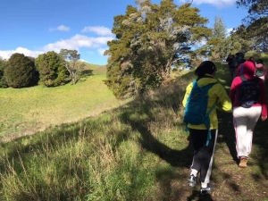 Image of mtstjohnhobson20i.jpg