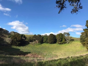 Image of mtstjohnhobson20j.jpg