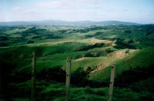 Image of mtwilliam02puketutuviewhunuaranges.jpg