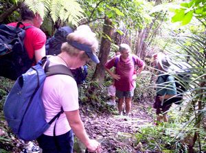 Image of mtwilliamapr07cdbush.jpg