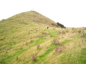 Image of mtwilliamapr07edapproachingsummit.jpg