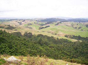 Image of mtwilliamapr07fbviewse.jpg