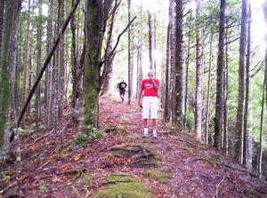 Image of mtwilliamapr07jakauris.jpg