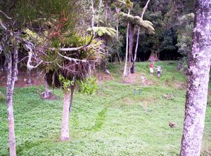 Image of mtwilliamapr07kcglade.jpg