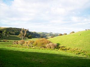 Image of mtwilliamapr07kenowisthehour.jpg