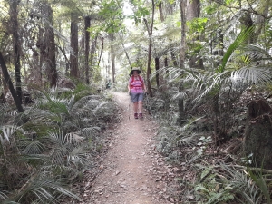 Image of mtwilliammar21b.jpg