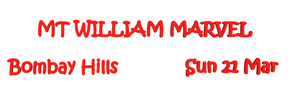 Image of mtwilliammarvel21.gif