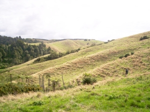 Image of mtwilliamnov18b.jpg