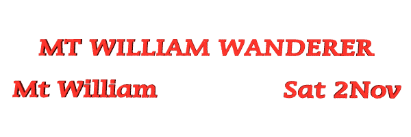Image of mtwilliamwanderernov18.gif