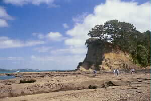 Image of mulletpointcoast2q.jpg