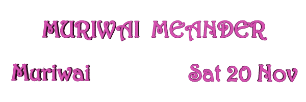 Image of muriwaimeander21.gif