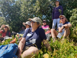 Image of muriwainov20f.jpg